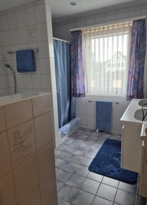 Renovation Badezimmer