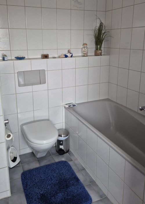 WC Renovation