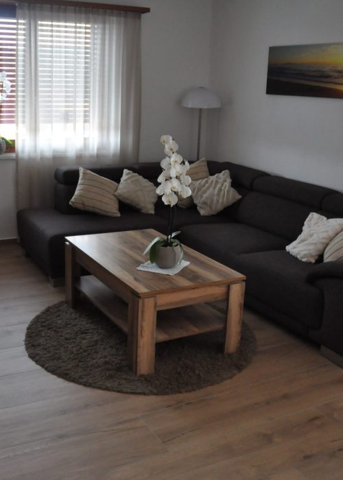 Holzoptik 30x120